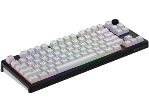 Gaming Keyboard HATOR Skyfall 80 wireless (HTK3180) white-black