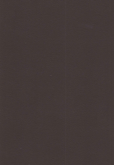 MIETUBL Back Skin Leather LV Brown